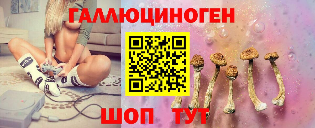 купить наркотик  Псилоцибиновые грибы мухоморы  Вход с VPN  Белореченск 